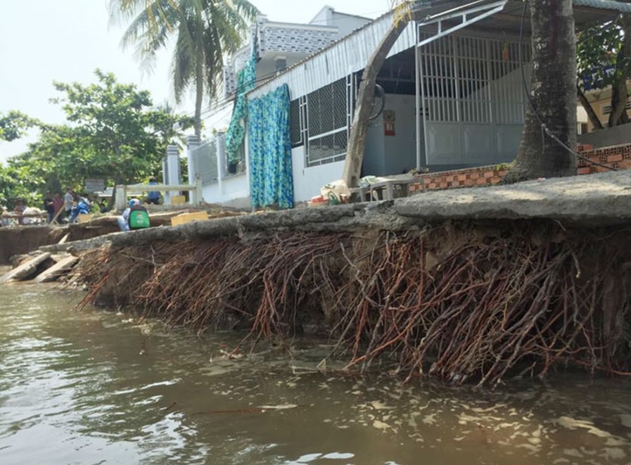 Thông tin từ đường dây nóng